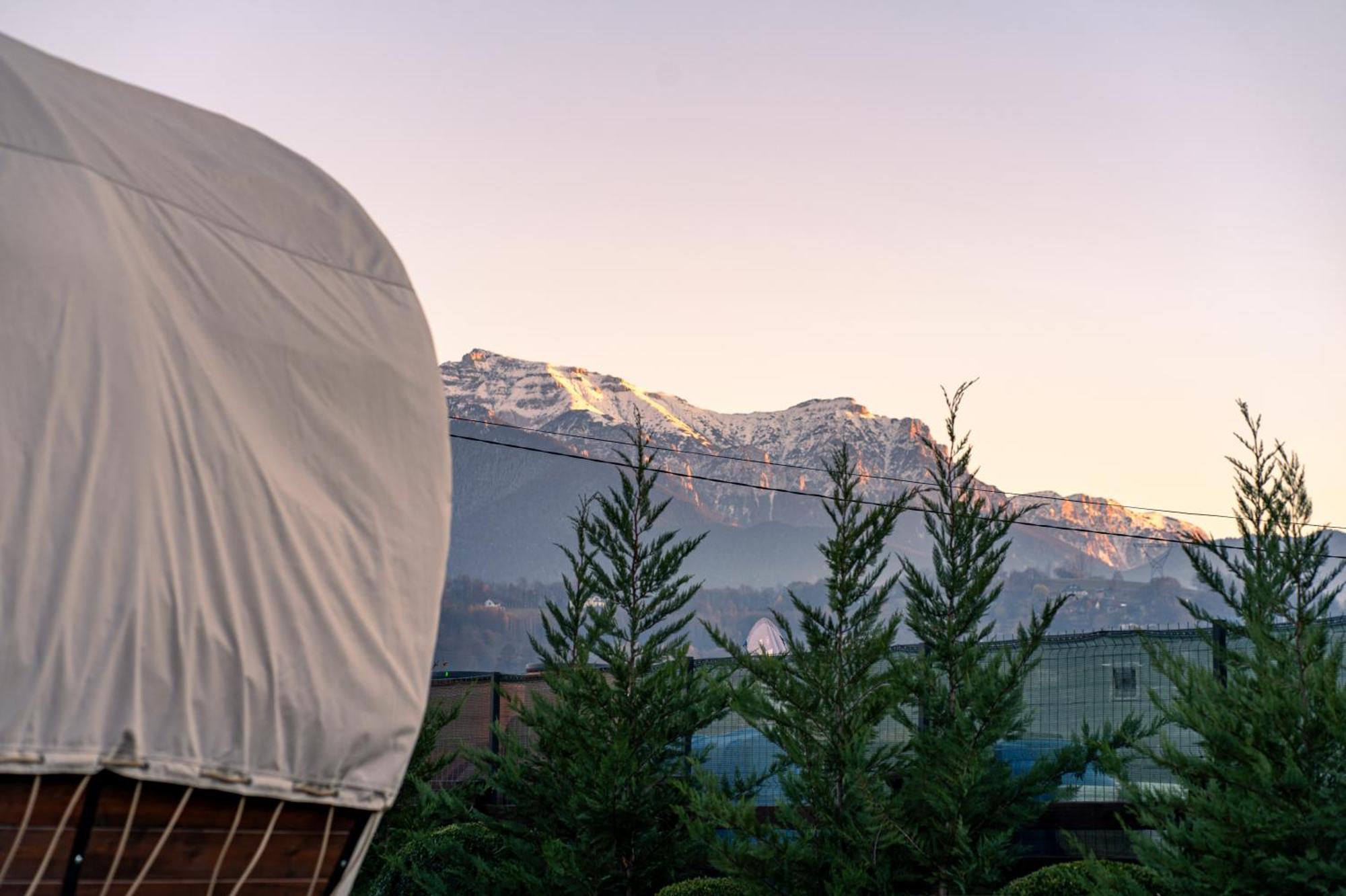 Glamp In Style Pods Resort Bran  Esterno foto